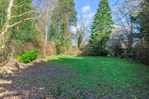 Photo 37- click for photo gallery